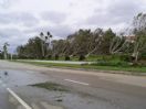 CHRIS V - wilma .weston fl. 